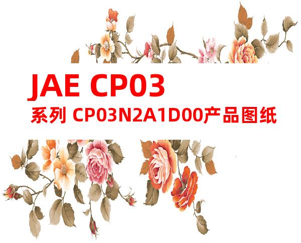 JAE CP03系列 CP03N2A1D00产品图纸